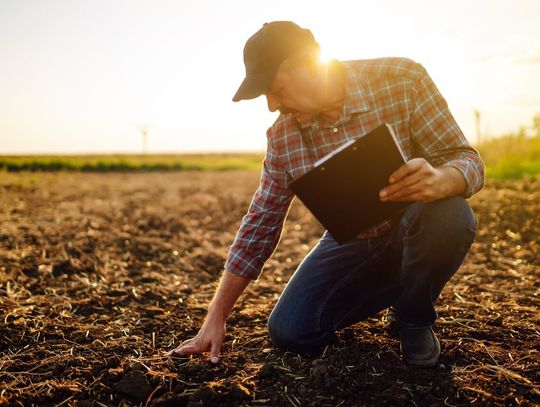 Jak wybrać najlepsze wapno nawozowe do swojej gleby? Jak wybrać najlepsze wapno nawozowe do swojej gleby?