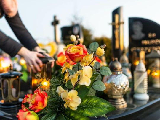 Nie wiesz gdzie szukać grobu bliskich? Z pomocą przychodzi specjalna wyszukiwarka 