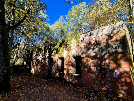 Poznaj Wilczy Szaniec – serce historii II wojny światowej!