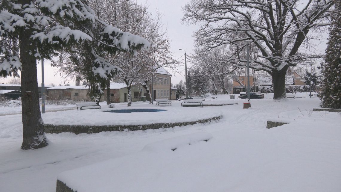 Park przy ul. Konopnickiej zostanie przebudowany później. Kiedy?