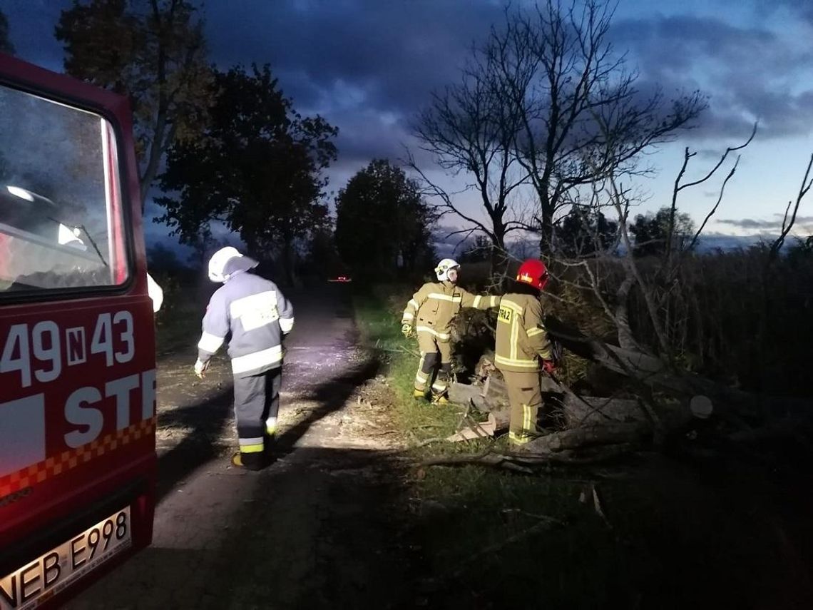 Silny wiatr w powiecie elbląskim. Strażacy mieli pełne ręce roboty