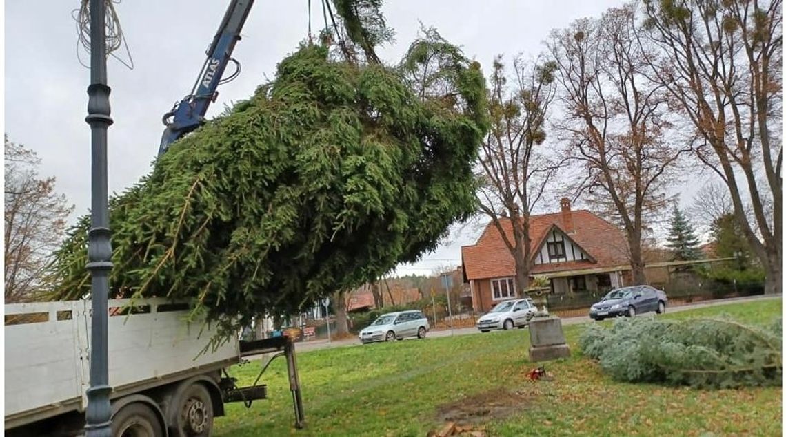 Stroją się na święta