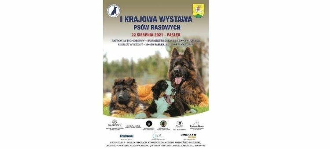 Wystawa psów rasowych w Pasłęku 